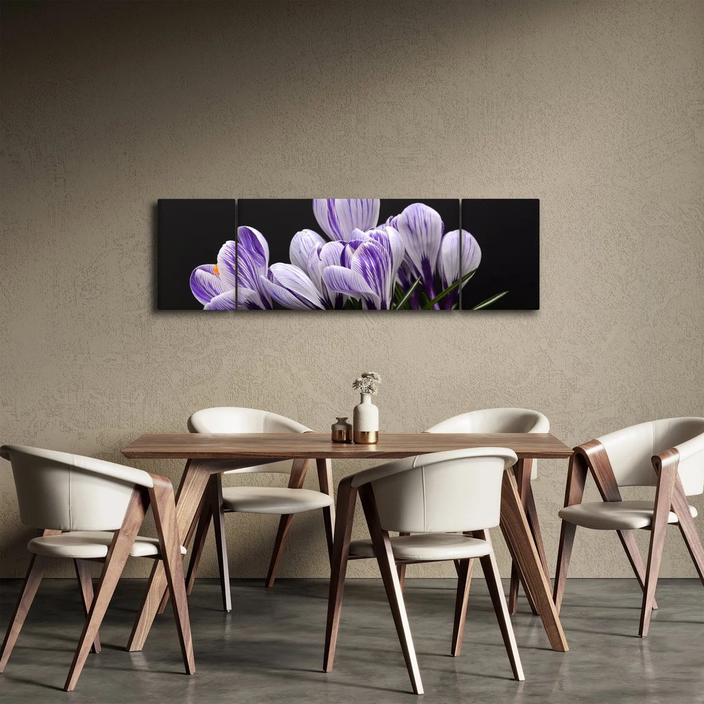 Obraz - Fioletowe krokusy (170x50 cm)