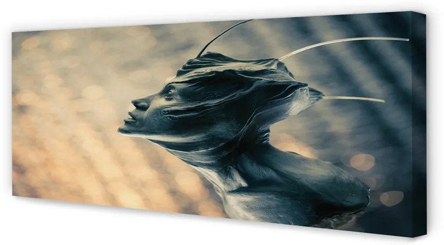 Zdjęcie na płótnie Głowa Postaci