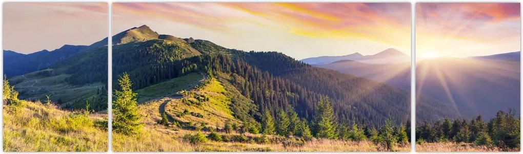 Obraz - Krajobraz leśny (170x50 cm)