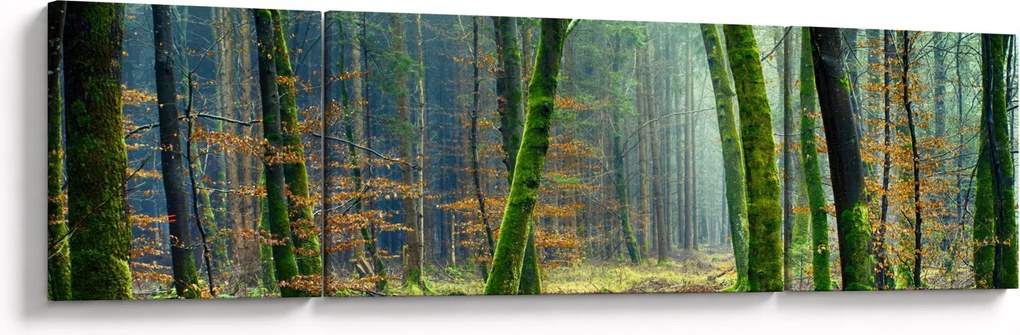 Obraz lasu (170x50 cm)