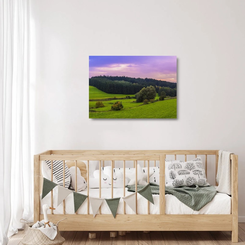 Obraz na szkle - łąka (70x50 cm)