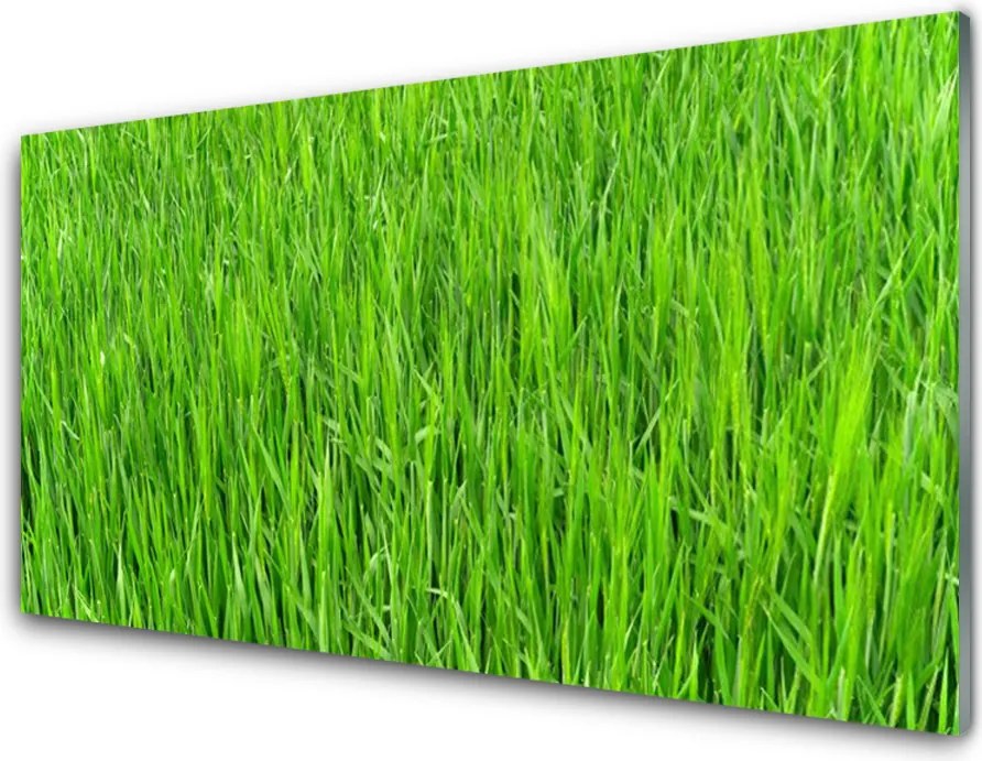 Panel Szklany Soczysta Zielona Murawa