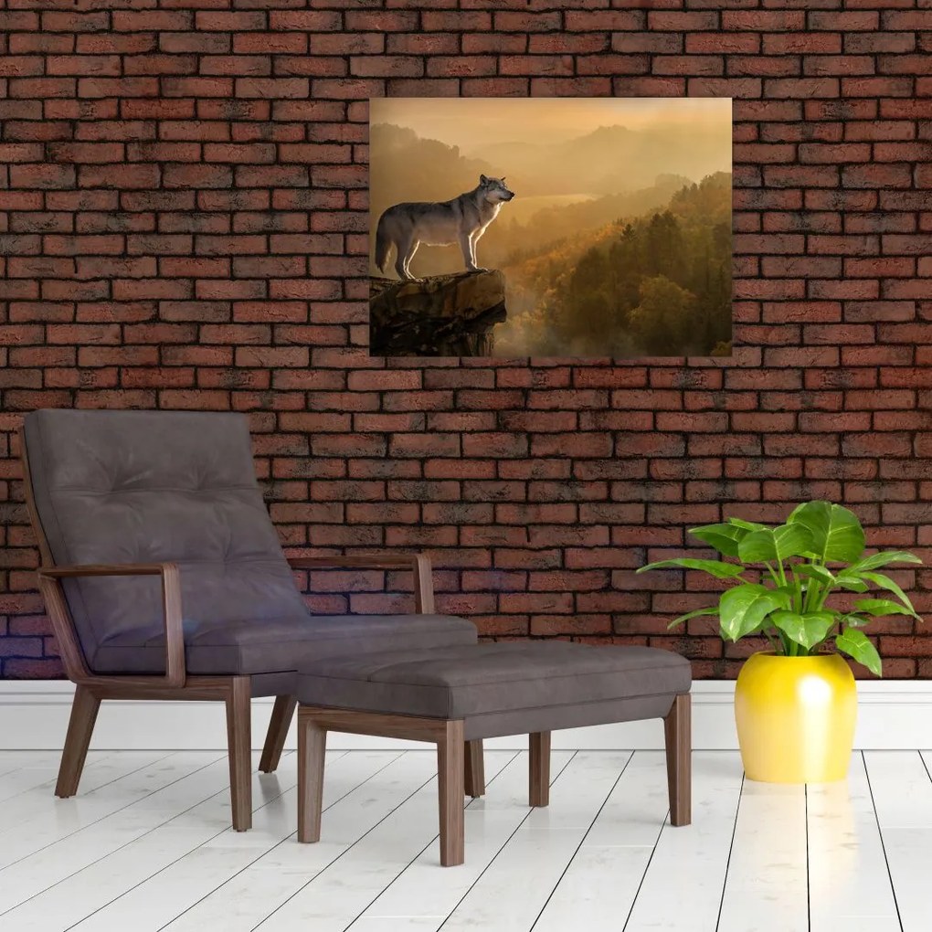 Obraz na szkle wilka na skale (70x50 cm)