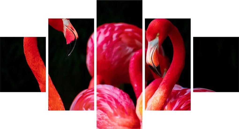 Obraz czerwonych flamingów (125x70 cm)