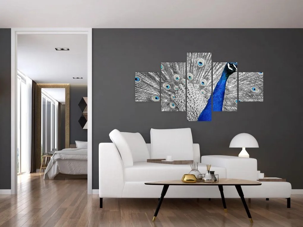 Obraz - niebieski paw (125x70 cm)