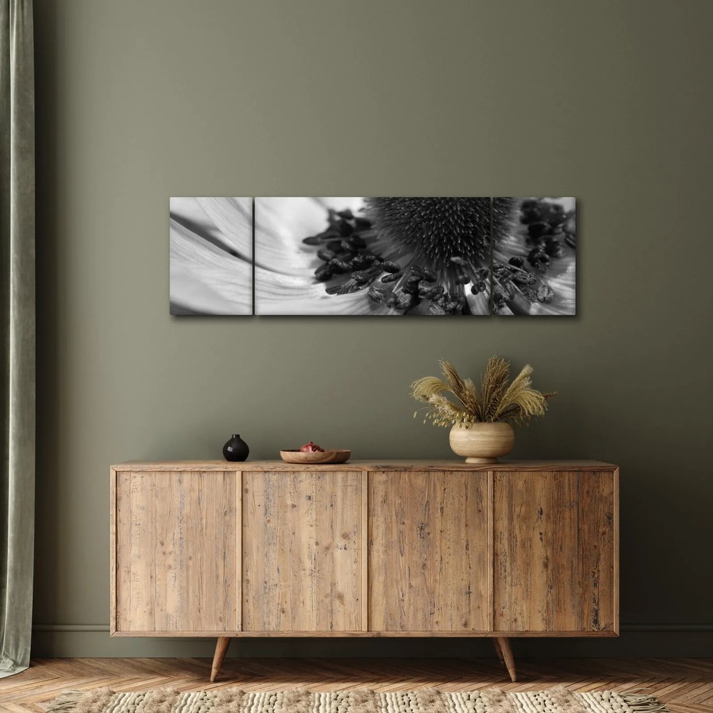 Obraz - Kwiat w czerni i bieli (170x50 cm)