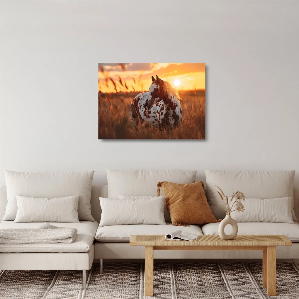 Obraz na szkle - Koń o zachodzie słońca (70x50 cm)