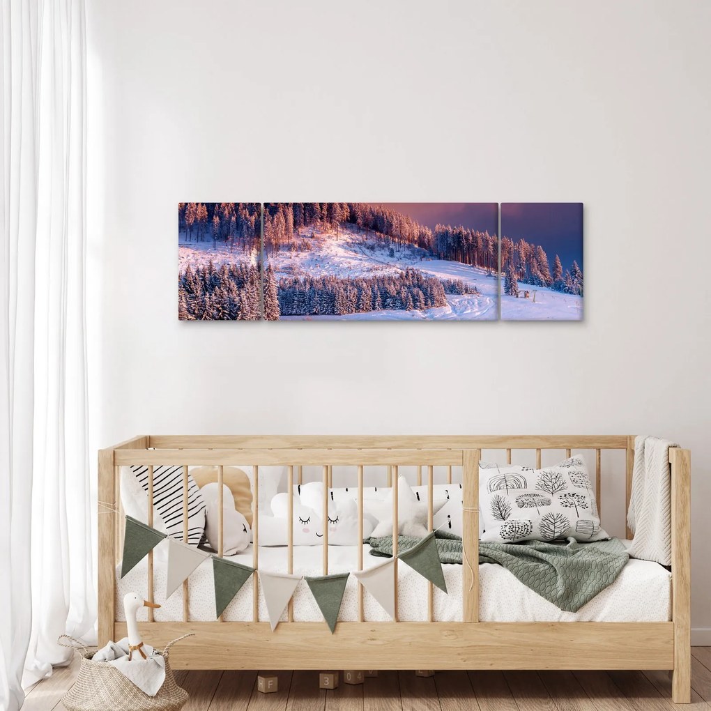 Obraz zimowego krajobrazu (170x50 cm)