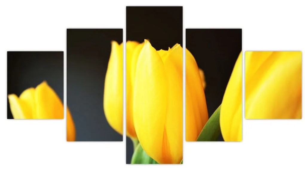 Obraz tulipanów (125x70 cm)