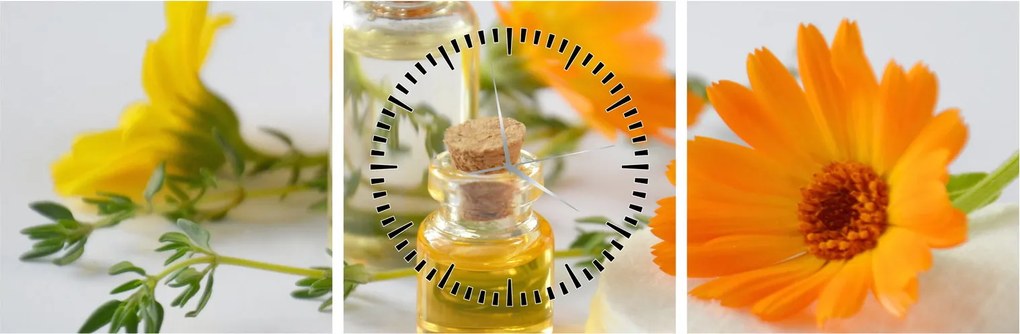 Obraz pomarańczowych kwiatów (z zegarem) (90x30 cm)
