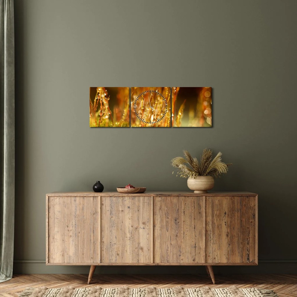 Obraz - Szczegół rosy (z zegarem) (90x30 cm)