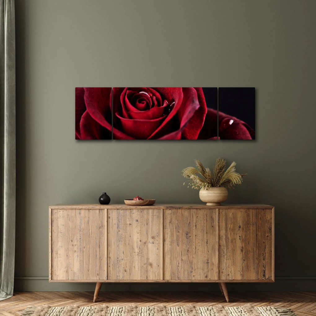 Obraz - Czerwona róża (170x50 cm)