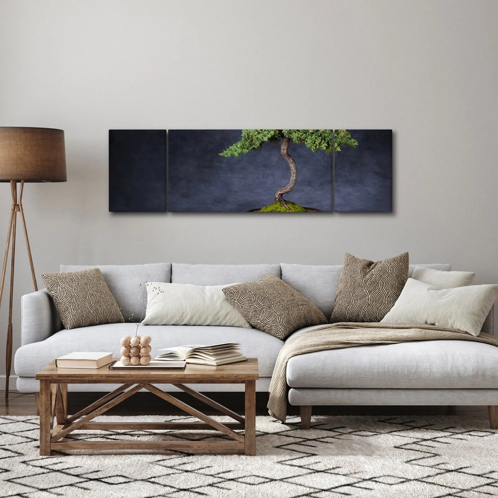 Obraz - Bonsai (170x50 cm)