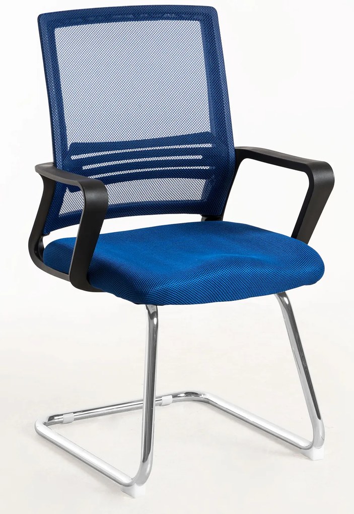 Pewny siebie Krzeso Kole