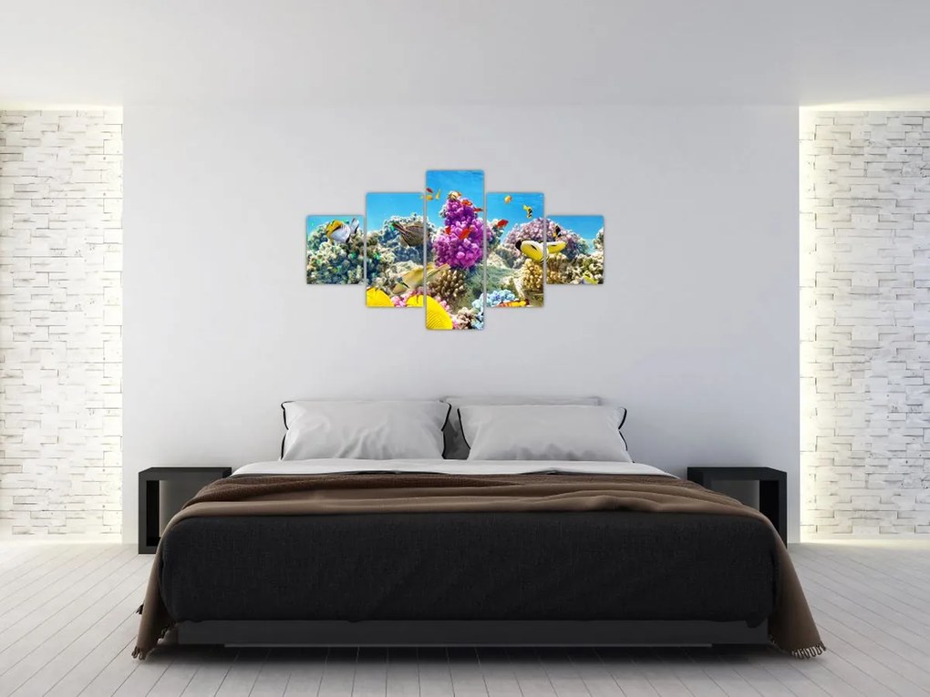 Obraz - Morski świat (125x70 cm)