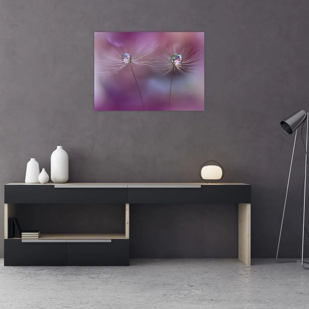 Obraz na szkle kropelek na puchu (70x50 cm)