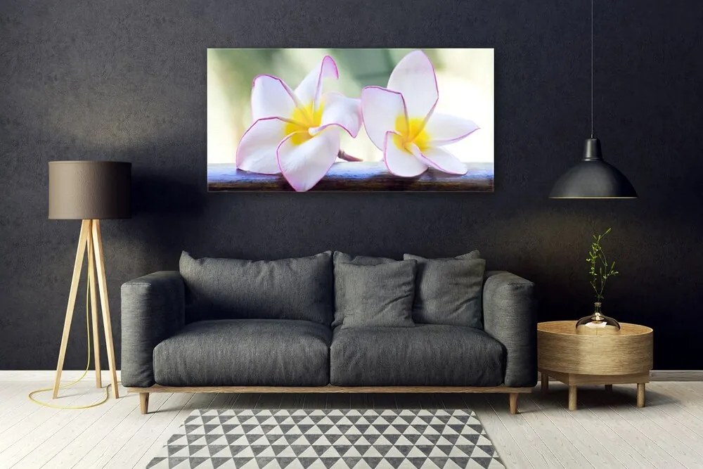 Obraz Akrylowy Kwiaty Płatki Plumeria