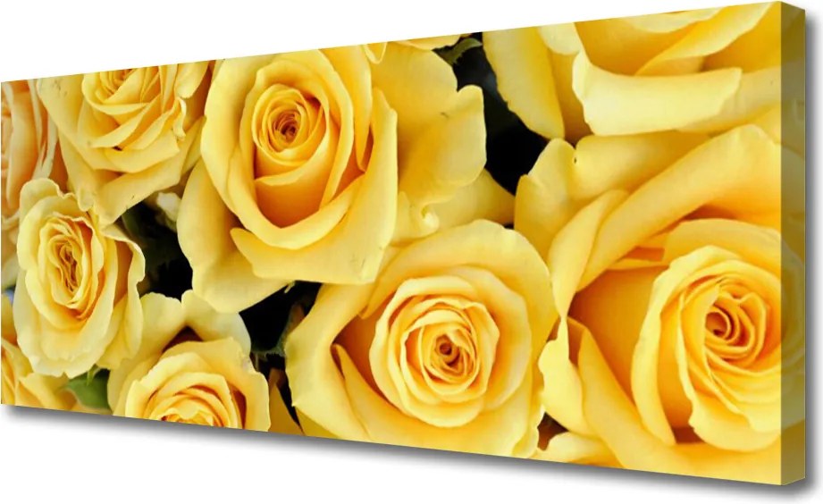 Obraz canvas Królewskie Róże w Ogrodzie