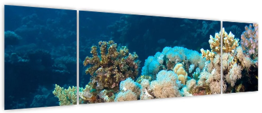 Obraz - W oceanie (170x50 cm)