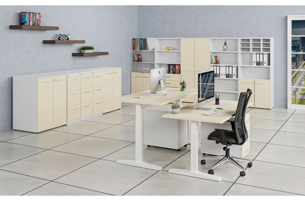 Szafa ubraniowa z wysuwem PRIMO WHITE, 800 x 420 x 1781 mm, biały/brzoza