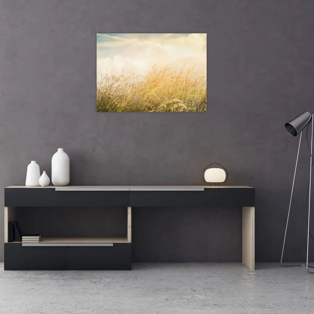 Obraz - Pole jesienią (70x50 cm)