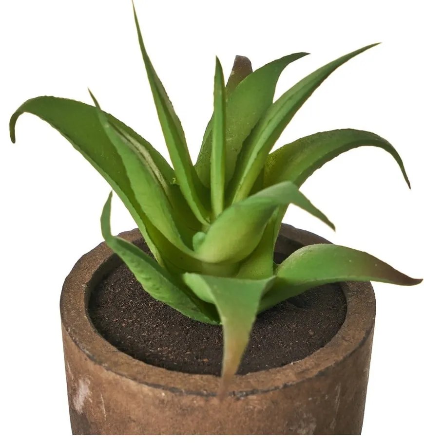 Sztuczne rośliny zestaw 4 szt. (wysokość 10 cm) Cactus – Casa Selección