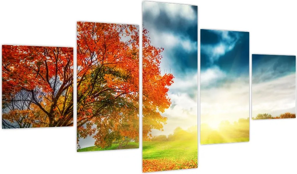 Obraz skąpanego w słońcu krajobrazu (125x70 cm)