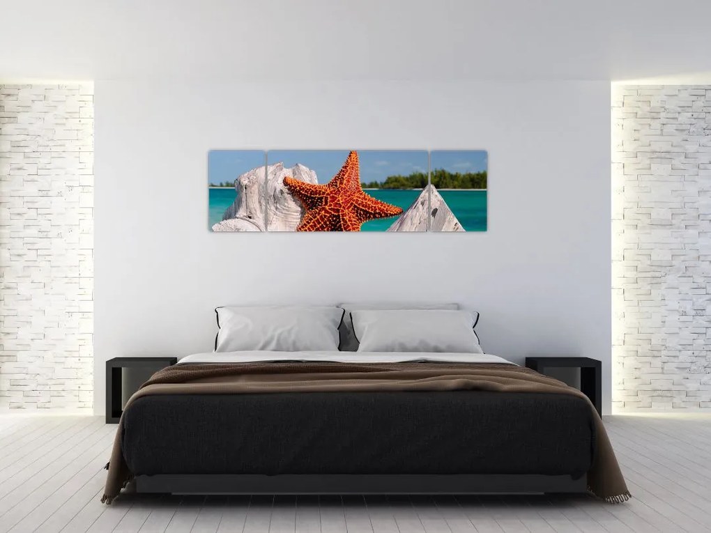 Obraz rozgwiazdy (170x50 cm)