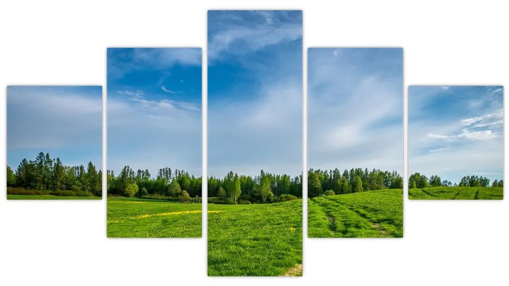 Obraz łąki (125x70 cm)