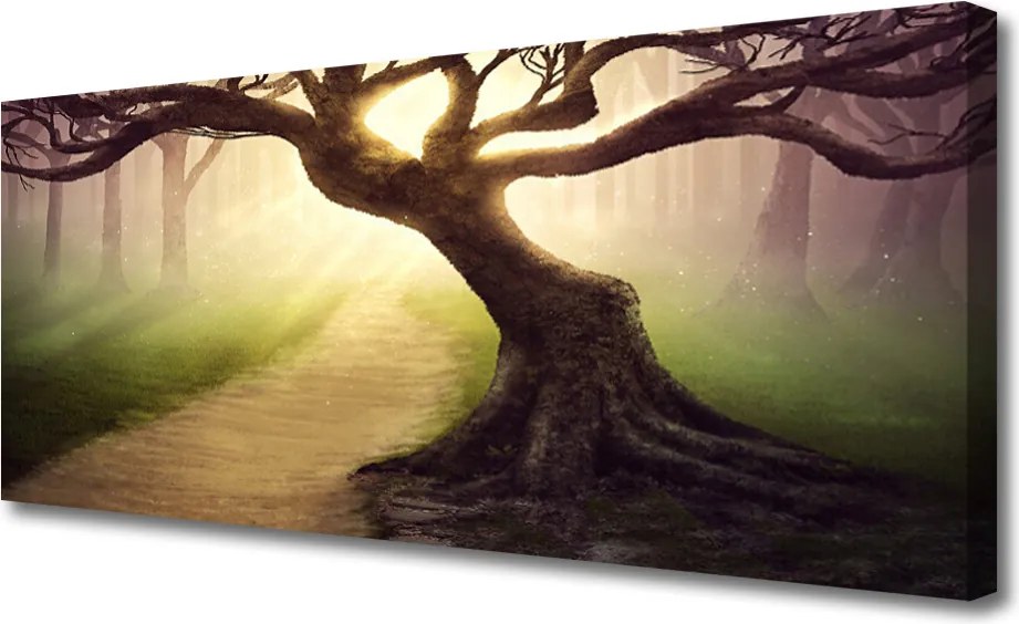 Obraz canvas na ścianę Promienie Słońca w Koronie Drzewa