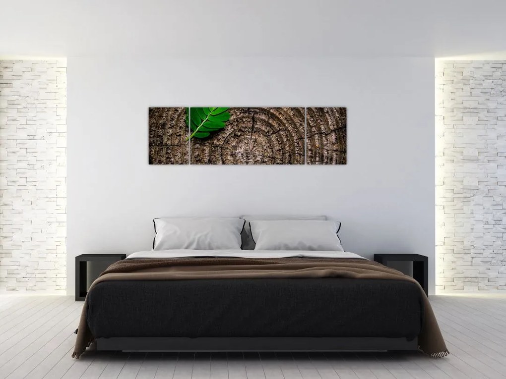 Obraz liścia na pniu drzewa (170x50 cm)