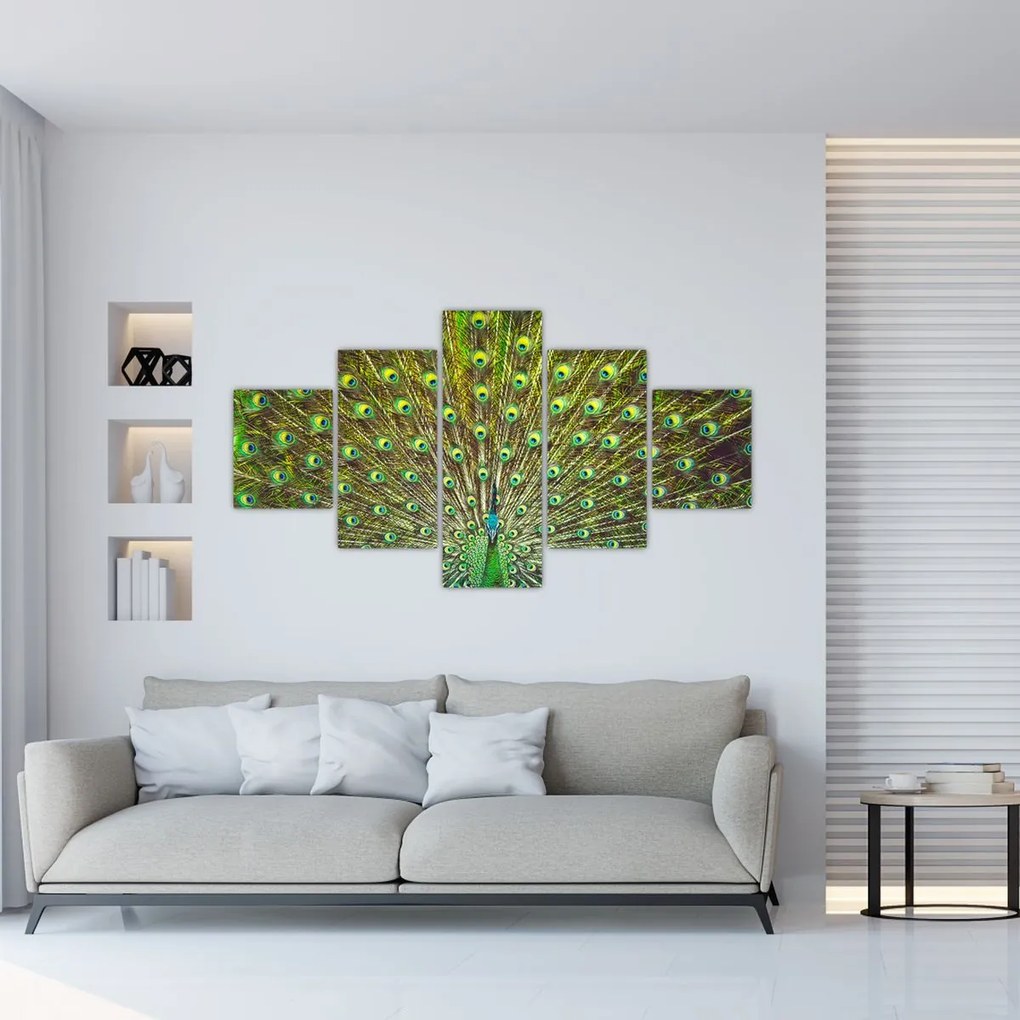 Obraz - Paw (125x70 cm)