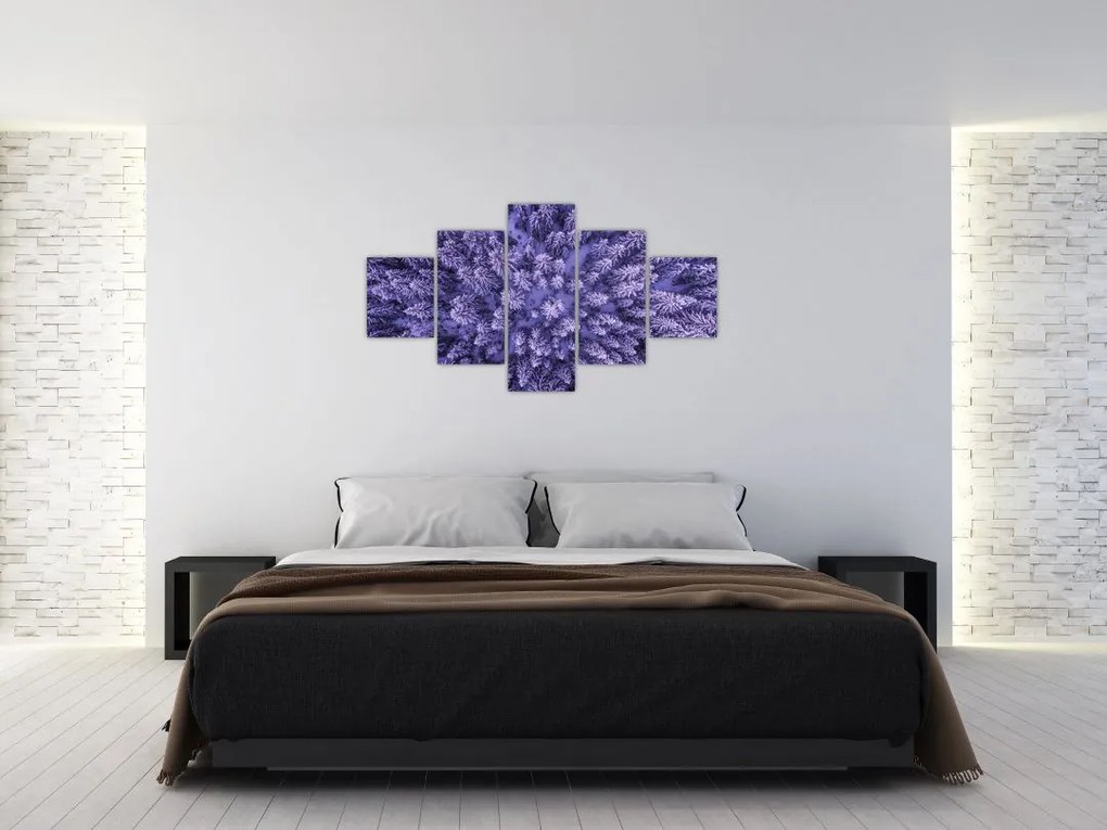 Obraz ośnieżonych drzew (125x70 cm)