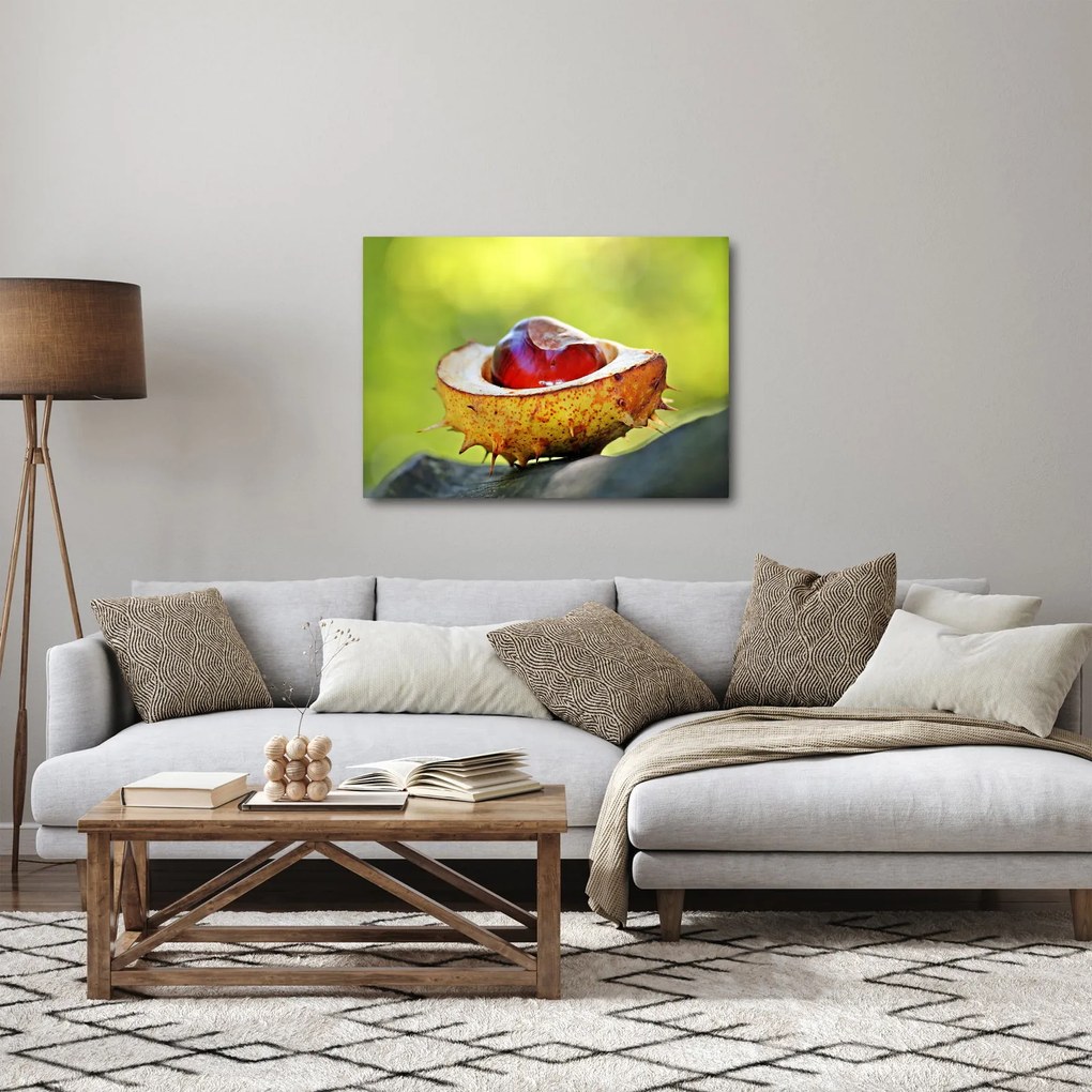 Obraz kasztanowów (70x50 cm)