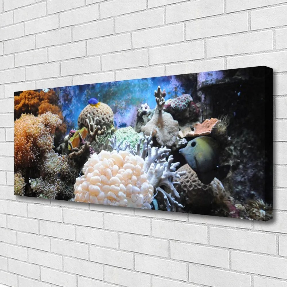 Obraz canvas Bogactwo Oceanicznej Rafy