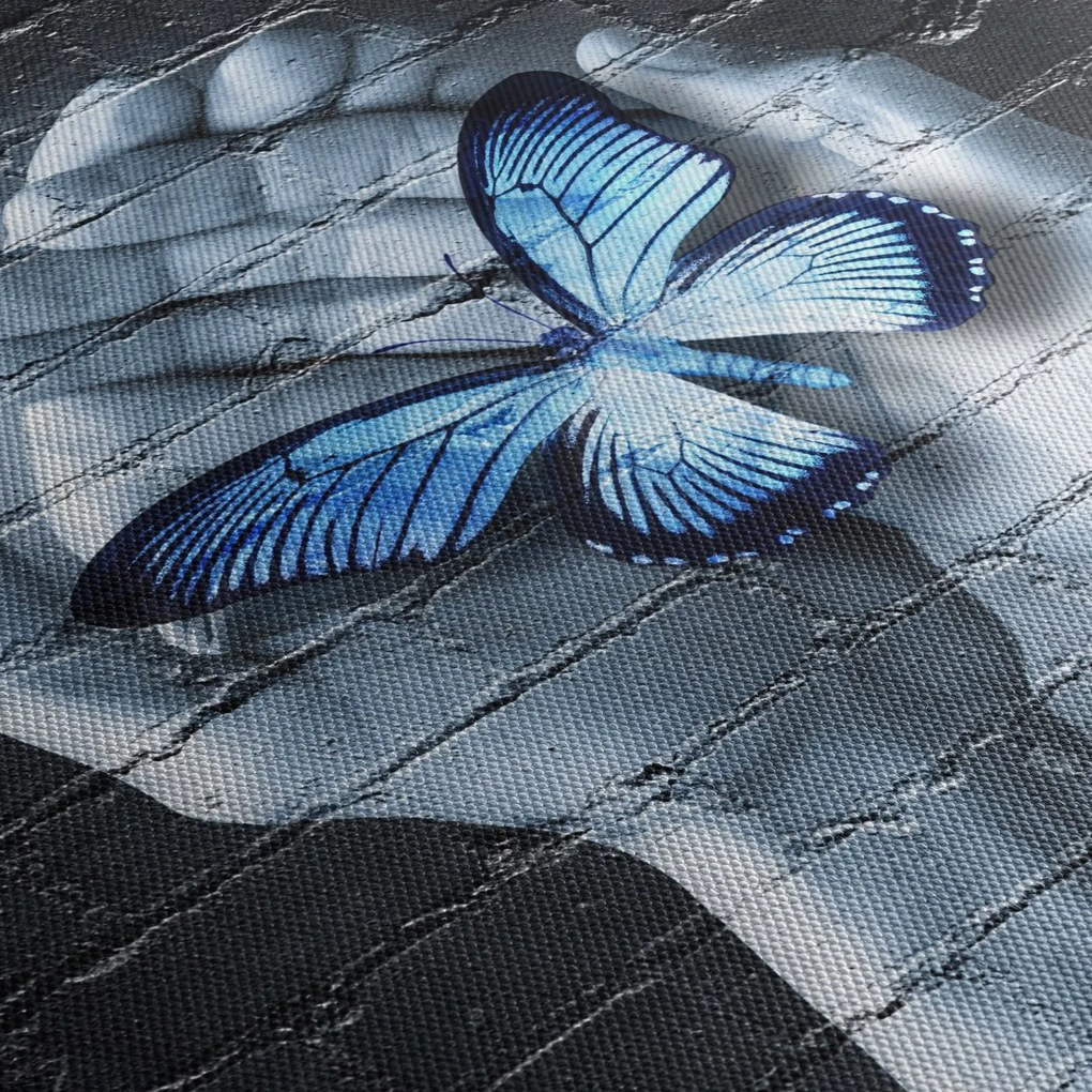 Obraz - Motyl na ścianie (70x50 cm)
