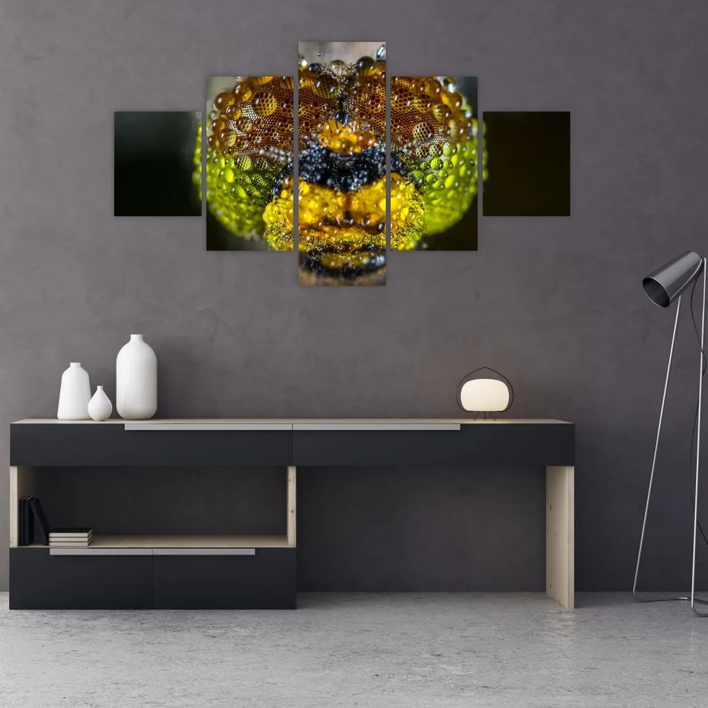 Szczegółowy obraz oczu owadów (125x70 cm)