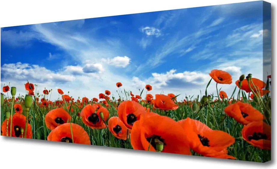 Obraz canvas Czerwone Maki w Blasku Słońca
