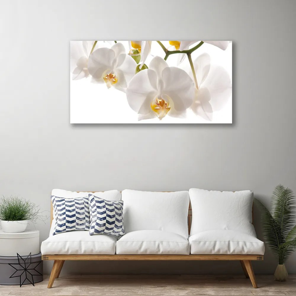 Obraz canvas na ścianę Egzotyczna Orchidea w Detalu