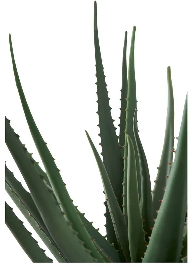 Sztuczna roślina (wysokość 51 cm) Aloe Vera – House Nordic