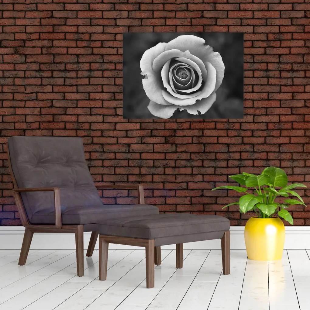 Obraz na szkle róży (70x50 cm)