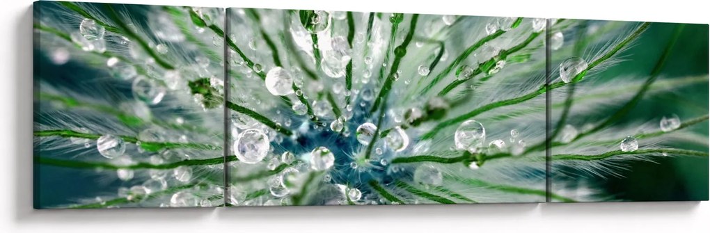 Obraz - Makro zdjęcie kwiatu (170x50 cm)