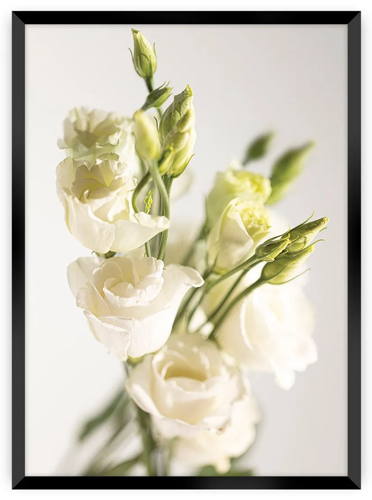 Plakat Elegant Flowers