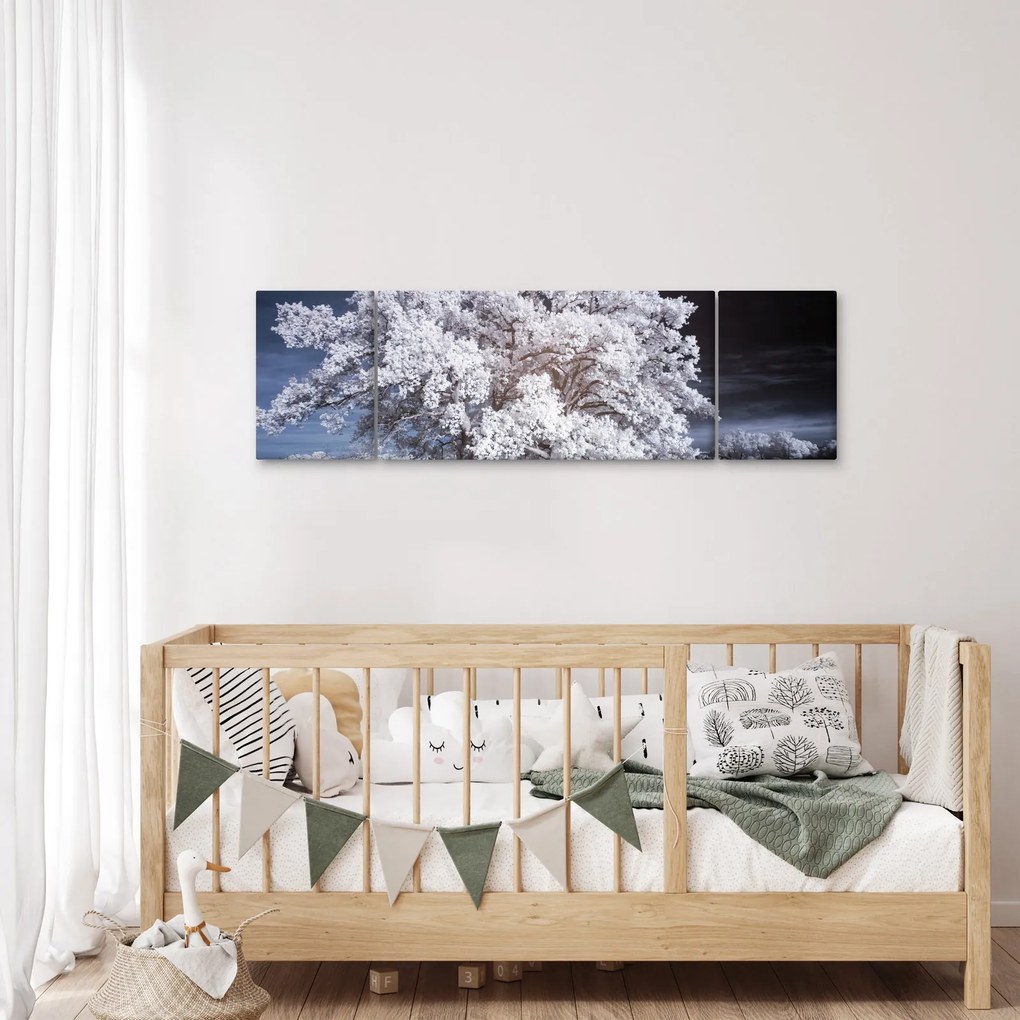 Obraz - Śnieżnobiałe drzewo (170x50 cm)