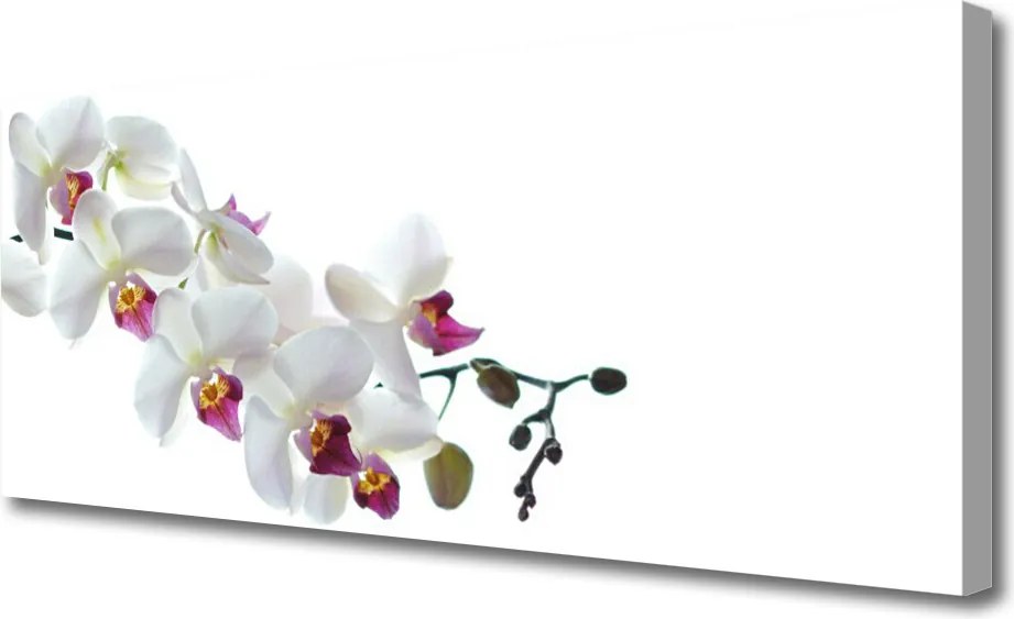 Obraz na płótnie Rajski Ogród Kwiatowy