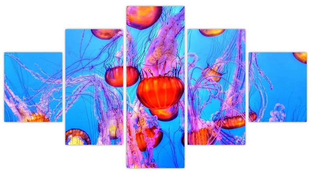Obraz meduz w morzu (125x70 cm)