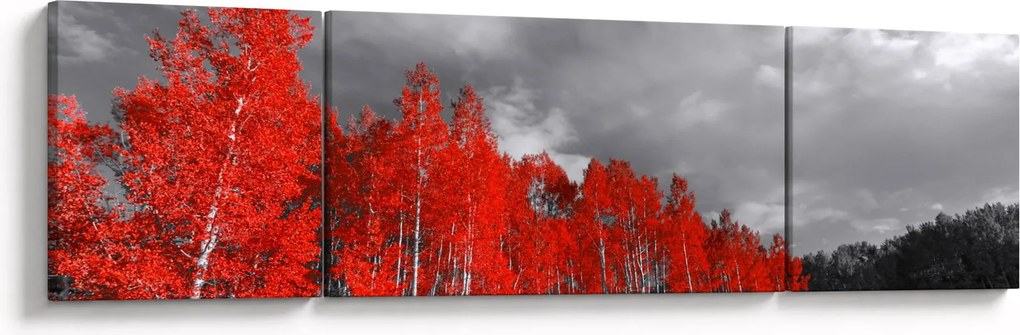 Obraz - Drzewa w kolorze jesieni (170x50 cm)