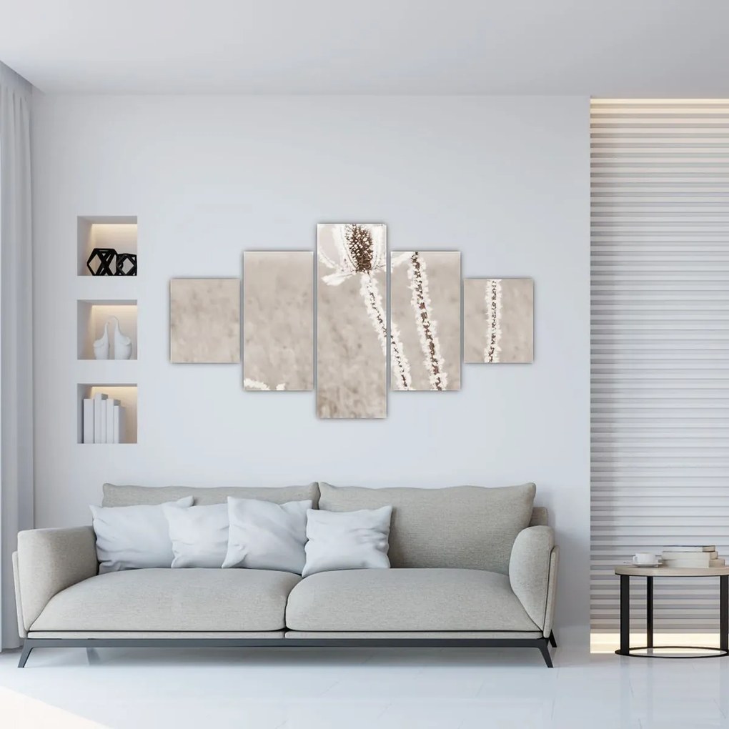 Obraz - Oset w zimie (125x70 cm)