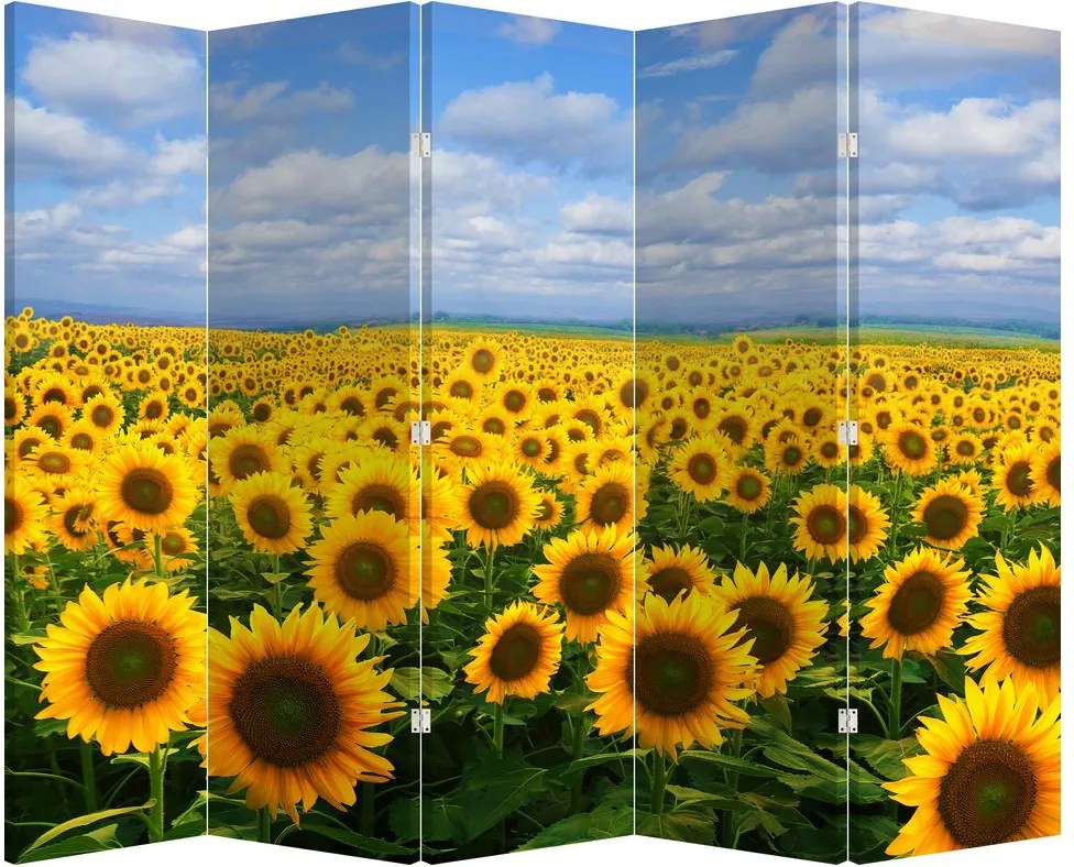 Parawan - Pole słoneczników (210x170 cm)