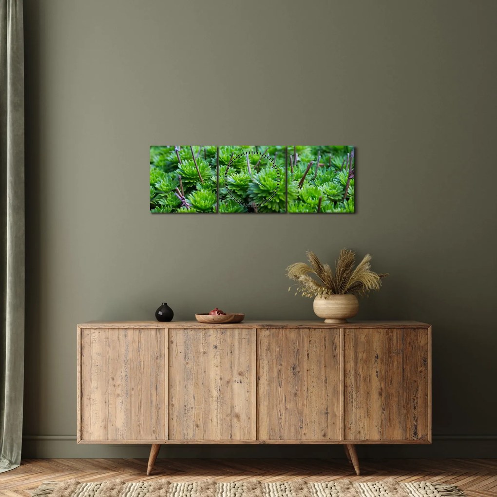 Obraz sukulentów (z zegarem) (90x30 cm)